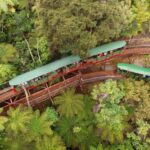 Auckland: COROMANDEL Driving Creek & CATHEDRAL COVE day tour - What’s Included and What to Consider