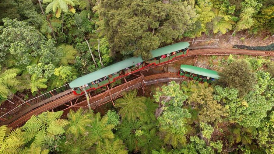 Auckland: COROMANDEL Driving Creek & CATHEDRAL COVE day tour - What’s Included and What to Consider