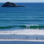 Auckland: Group Surfing Lesson with Muriwai Surf School - Who Would Enjoy This Tour?