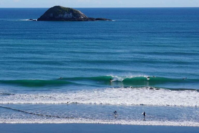 Auckland: Group Surfing Lesson with Muriwai Surf School - Who Would Enjoy This Tour?