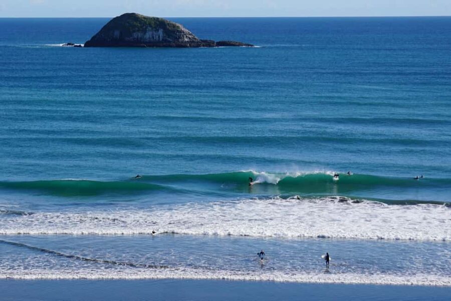 Auckland: Group Surfing Lesson with Muriwai Surf School - Who Would Enjoy This Tour?
