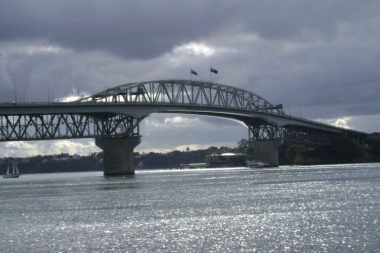 Auckland: Guided Small Group City Discovery Tour - The Value of the Tour