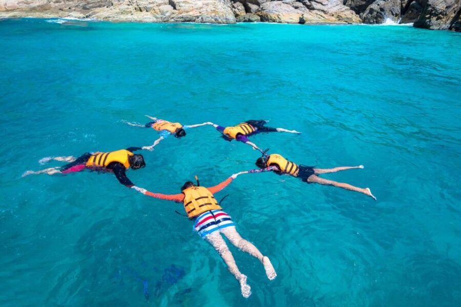 Auckland: Guided Snorkeling and Island Exploration Tours - The Value of This Tour