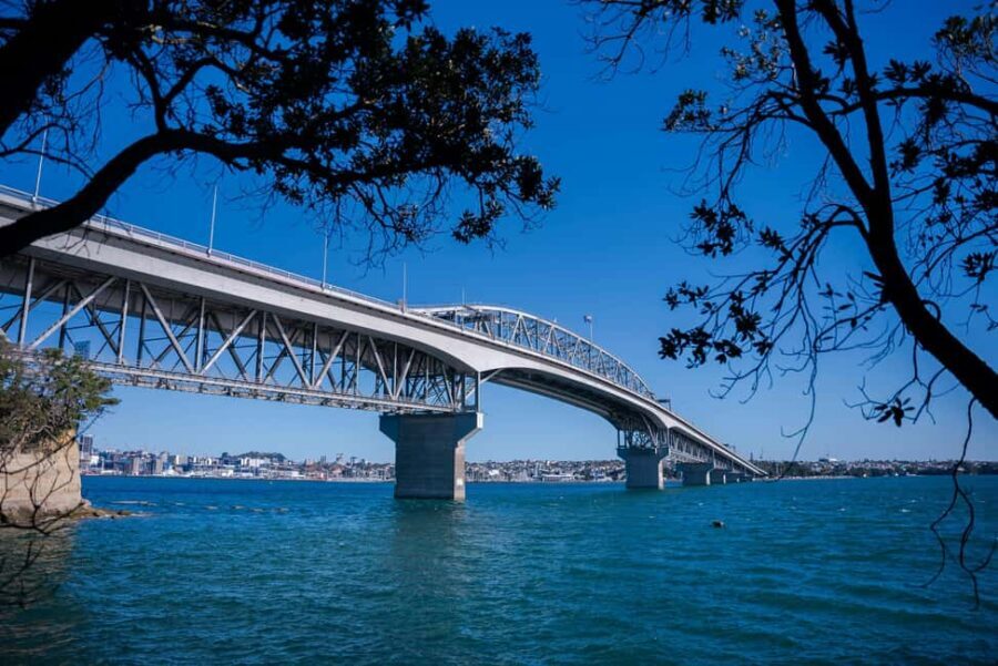 Auckland Half Day Attractions and Museums Tour - Practical Tips for Making the Most of Your Tour