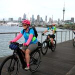 Auckland Half-Day Ebike Tour Excursion - What Makes This Tour Valuable for Travelers