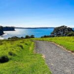 Auckland Hidden gem Tour - Exploring Each Stop in Detail