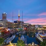 Auckland Highlight Fullday City Tour - The Experience: Transportation and Guides