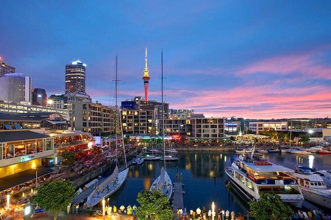 Auckland Highlight Fullday City Tour - The Experience: Transportation and Guides