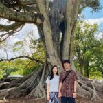 Auckland Highlights 4 Hrs city Tour - Transportation and Group Size
