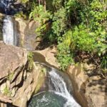 Auckland: Hiking West Auckland Rainforest & Waterfalls Tour - Exploring the Waitakere Ranges: The Forest and Waterfalls