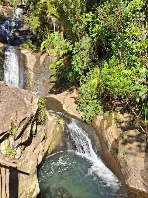 Auckland: Hiking West Auckland Rainforest & Waterfalls Tour - Exploring the Waitakere Ranges: The Forest and Waterfalls