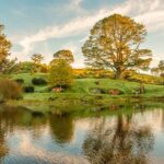 Auckland: Hobbiton Movie Set Day Trip with Festive Lunch - Arriving at Hobbiton: First Impressions
