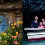 Auckland: Hobbiton & Waitomo Caves Small-Group Tour & Lunch - Transportation and Group Size