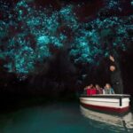 Auckland: Hobbiton & Waitomo Glow Worm Caves Private Tour - Who Is This Tour Best For?