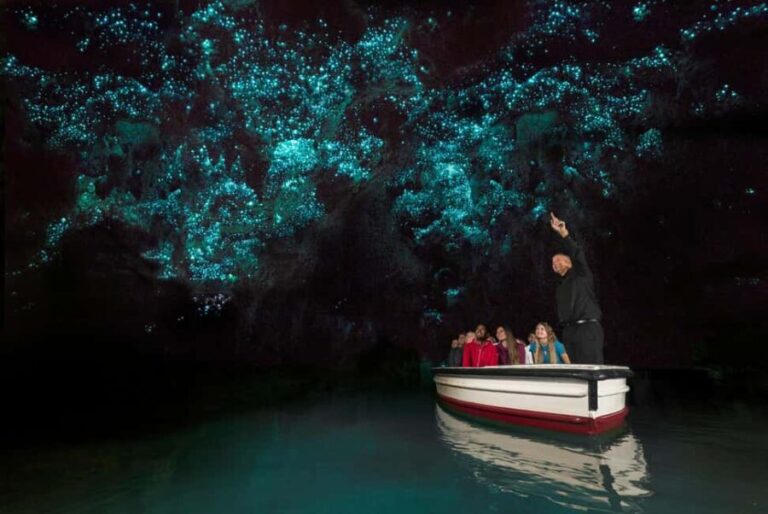 Auckland: Hobbiton & Waitomo Glow Worm Caves Private Tour - Who Is This Tour Best For?