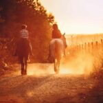 Auckland: Horseback Riding Through Vines with Wine & Dine - Who Would Love This Tour?