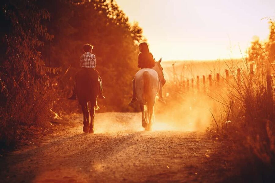 Auckland: Horseback Riding Through Vines with Wine & Dine - Who Would Love This Tour?