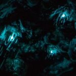 Auckland North Shore Glowworm Tour - The Value of this Tour