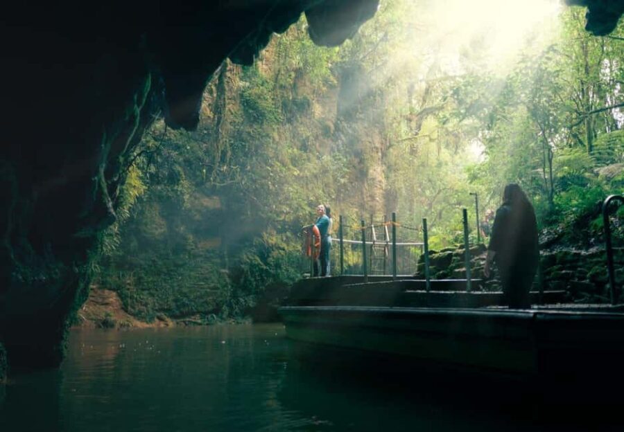 Auckland: One-Way Tour to Rotorua with Waitomo Caves - Final Thoughts on Value and Experience