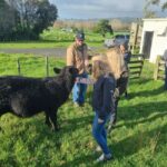 Auckland: Private Farm Tour with Sheep Shearing & Lunch - An In-Depth Look at the Farm Tour