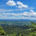 AUCKLAND: PRIVATE Journey with Guide to Hobbiton Movie Set - Authentic Experiences and Hidden Gems
