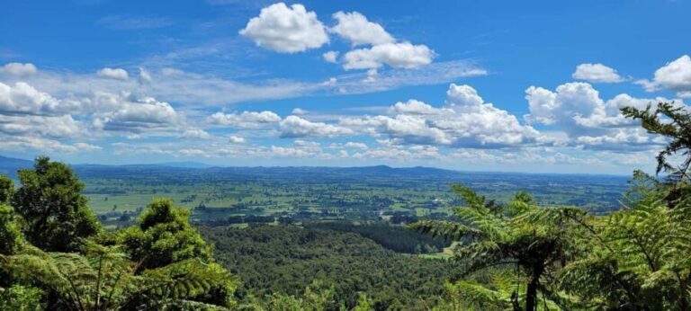 AUCKLAND: PRIVATE Journey with Guide to Hobbiton Movie Set - Authentic Experiences and Hidden Gems