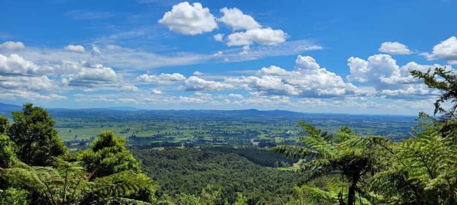 AUCKLAND: PRIVATE Journey with Guide to Hobbiton Movie Set - Authentic Experiences and Hidden Gems
