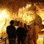 Auckland: Private Tour to Waitomo & Te Puia Valley - The Details: What You Can Expect