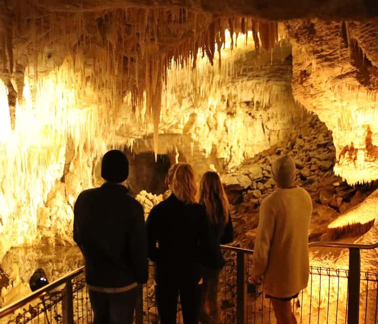 Auckland: Private Tour to Waitomo & Te Puia Valley - The Details: What You Can Expect