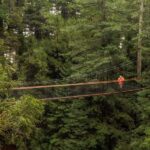 Auckland: Rotorua Highlights Tour with Wai-O-Tapu & Hot Tubs - The Full Experience: A Deep Dive into the Tour Itinerary