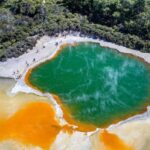 Auckland: Rotorua Highlights w WaiOTapu & Redwoods Treewalk - The Practicalities: Transport, Group Size, and Price