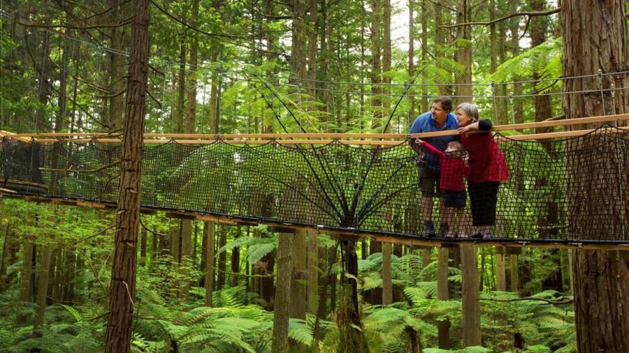 Auckland: Rotorua Highlights with Redwoods Treewalk & Spa - What We Love About This Tour