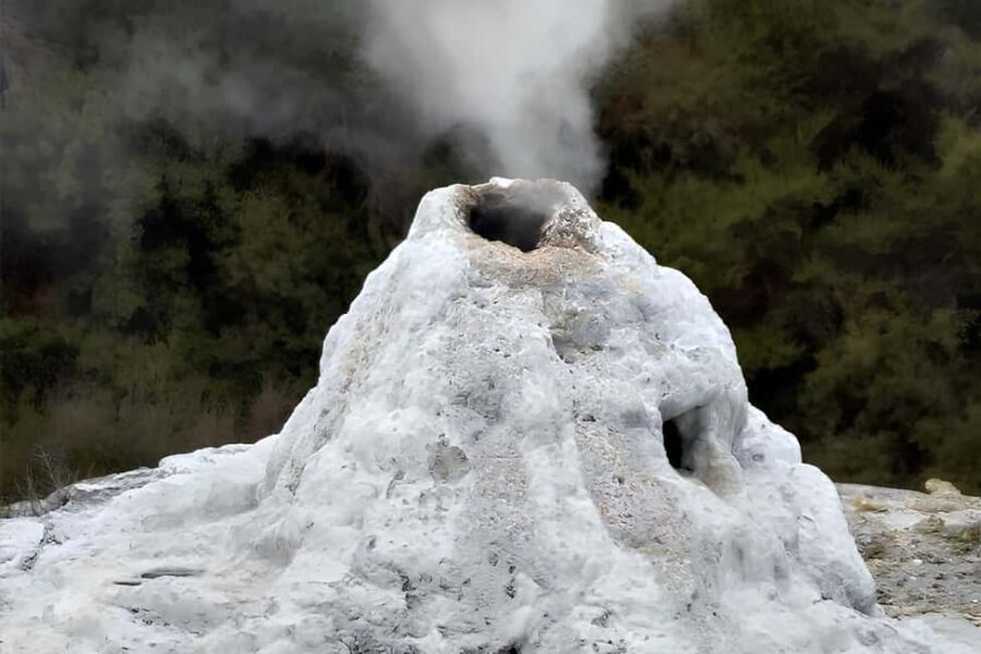 Auckland: Rotorua, Taupo, Waiotapu & Huka Falls Private Trip - Who Will Love This Tour?