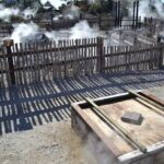 Auckland: Rotorua Te Puia & Maori Village Tour with Haka - What Makes This Tour Stand Out?