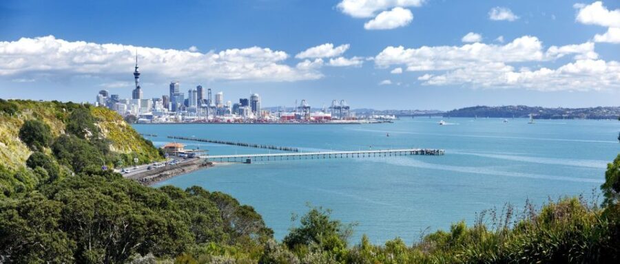 Auckland Scenic Half-Day City Sightseeing Tour - Authentic Insights from Reviews