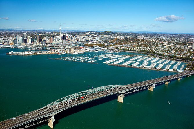 Auckland Shore Excursion: Half-Day Guided City Tour - Who Would Love This Experience?