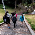 Auckland Small-Group Walking Tour with Treats - Who Will Love This Tour?