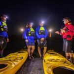Auckland: Sunset & Night Sea Kayak Tour to Rangitoto Island - The Itinerary in Detail
