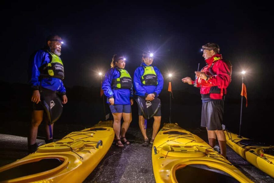Auckland: Sunset & Night Sea Kayak Tour to Rangitoto Island - The Itinerary in Detail