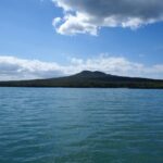 Auckland: Tikapa Moana Whales, Dolphins and Islands Cruise - The Value of This Tour