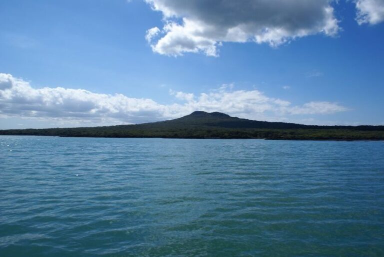 Auckland: Tikapa Moana Whales, Dolphins and Islands Cruise - The Value of This Tour