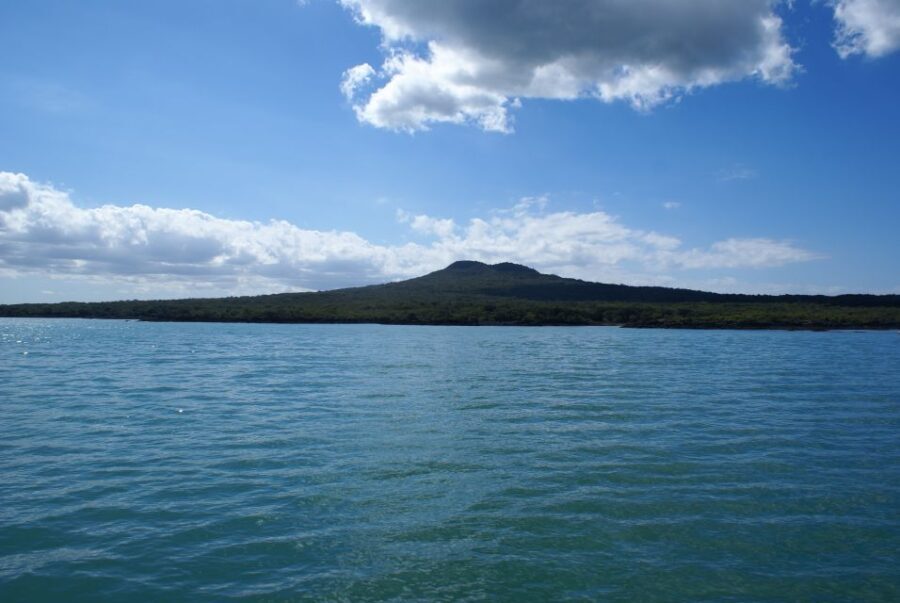 Auckland: Tikapa Moana Whales, Dolphins and Islands Cruise - The Value of This Tour