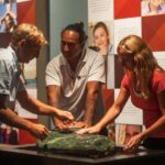 Auckland to Paihia via West Coast Small Group Tour (One Way) - An In-Depth Look at the Auckland to Paihia Small Group Tour