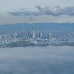 Auckland to Rangitoto Island Ferry - Authentic Experiences from Reviews