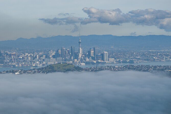 Auckland to Rangitoto Island Ferry - Authentic Experiences from Reviews