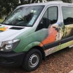 Auckland to Rotorua via Hobbiton One Way Small Group Tour - The Itinerary: From Farm to Middle-earth