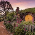Auckland to Rotorua via Hobbiton Small Group Tour (One Way) - The Value of This Tour