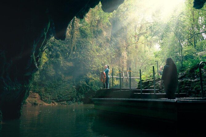 Auckland to Rotorua via Waitomo Caves Small Group Tour (One Way) - What We Loved and What to Consider