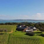 Auckland: Waiheke Island Wine and Food Tasting with Flights - A Closer Look at the Details