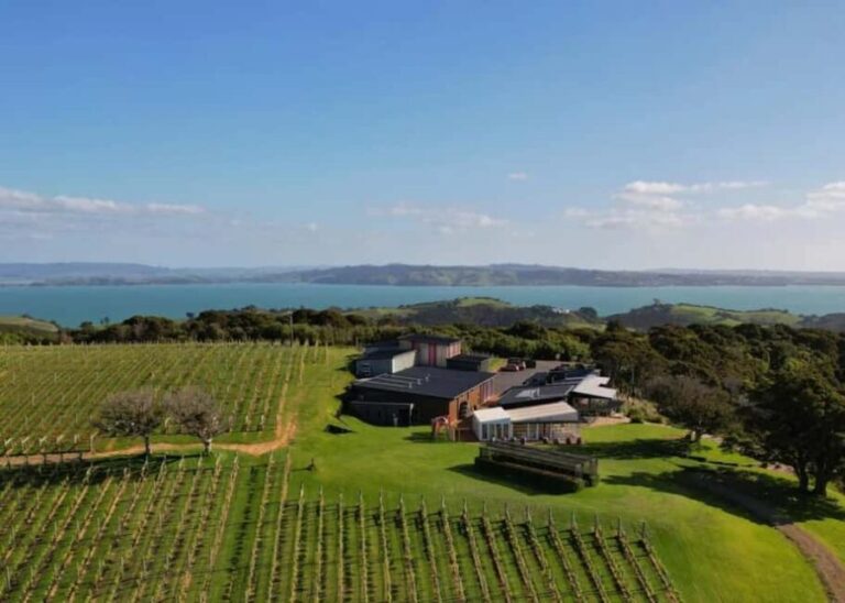 Auckland: Waiheke Island Wine and Food Tasting with Flights - A Closer Look at the Details